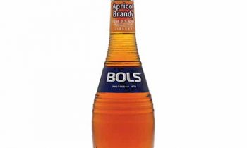 BOLS Apricot Brandy
